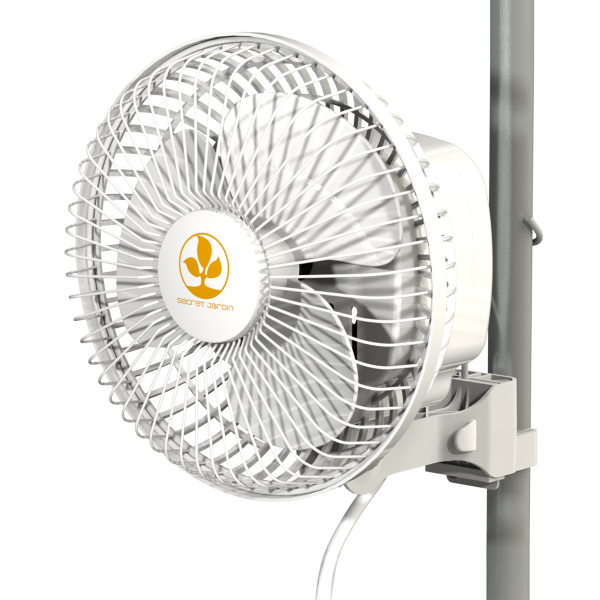 Secret Jardin Monkey Fan 20W osz 17cm