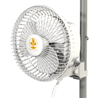 Secret Jardin Monkey Fan 20W osz 17cm