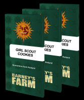 Barneys Farm Girl Scout Cookies Hanfsamen Feminisiert 5 Stk.