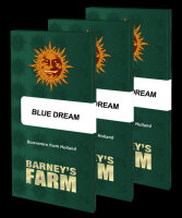 Barneys Farm Blue Dream Hanfsamen Feminisiert 3 Stk.