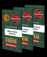 Barneys Farm Black Cherry Gusher Hanfsamen Feminisiert 3...