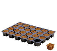 Eazy Plug Stecklingsblöcke, 12 Stk....