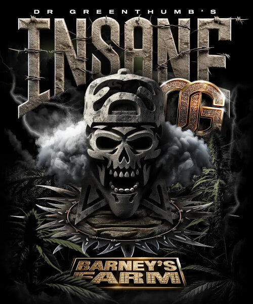 Barneys Farm Insane OG Hanfsamen Feminisiert 3 Stk.
