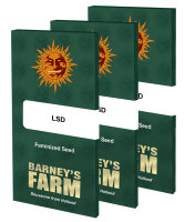 1+1 GRATIS AKTION Barneys Farm LSD Hanfsamen Feminisiert...