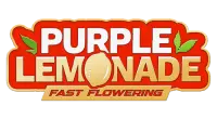 Fast Buds Purple Lemonade Fast Flowering Hanfsamen 3 Stk.