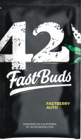 Fast Buds Fastberry  Hanfsamen Autoflowering 3 Stk.